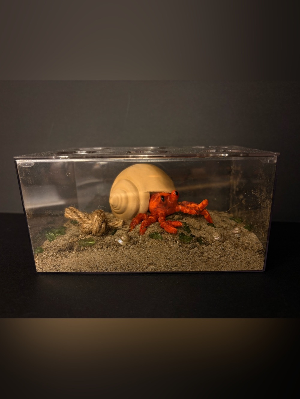 Play pretend pet hermit crab with cage